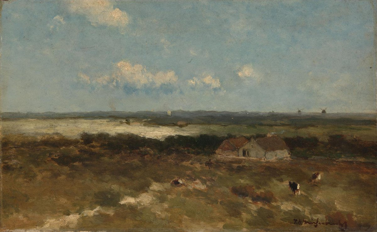 Dune landscape