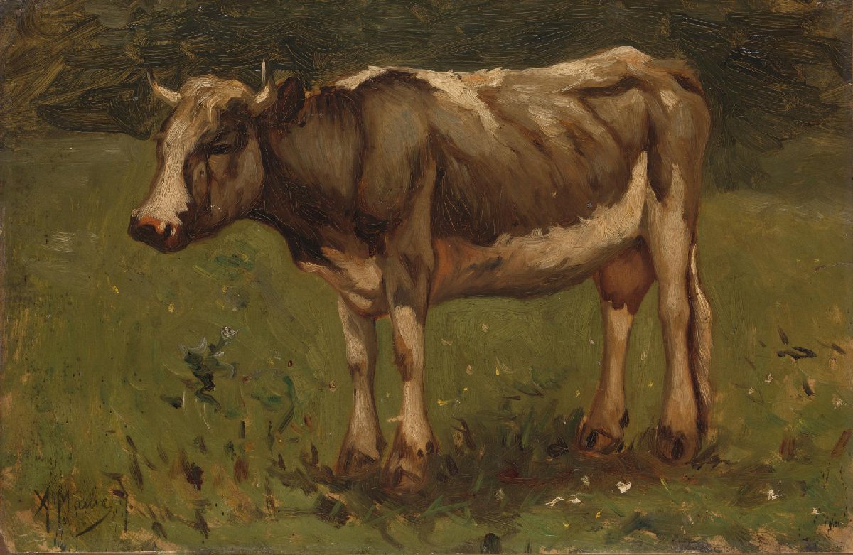 Koe