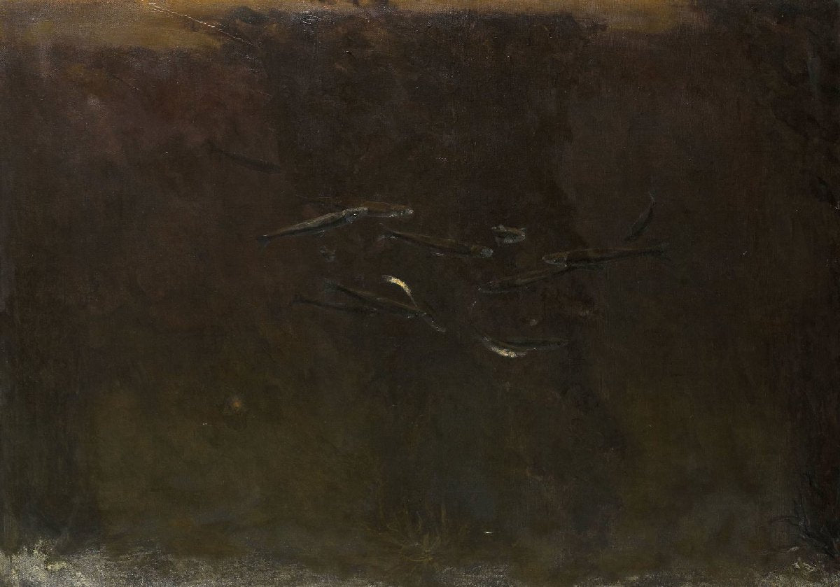 Fish in an Aquarium