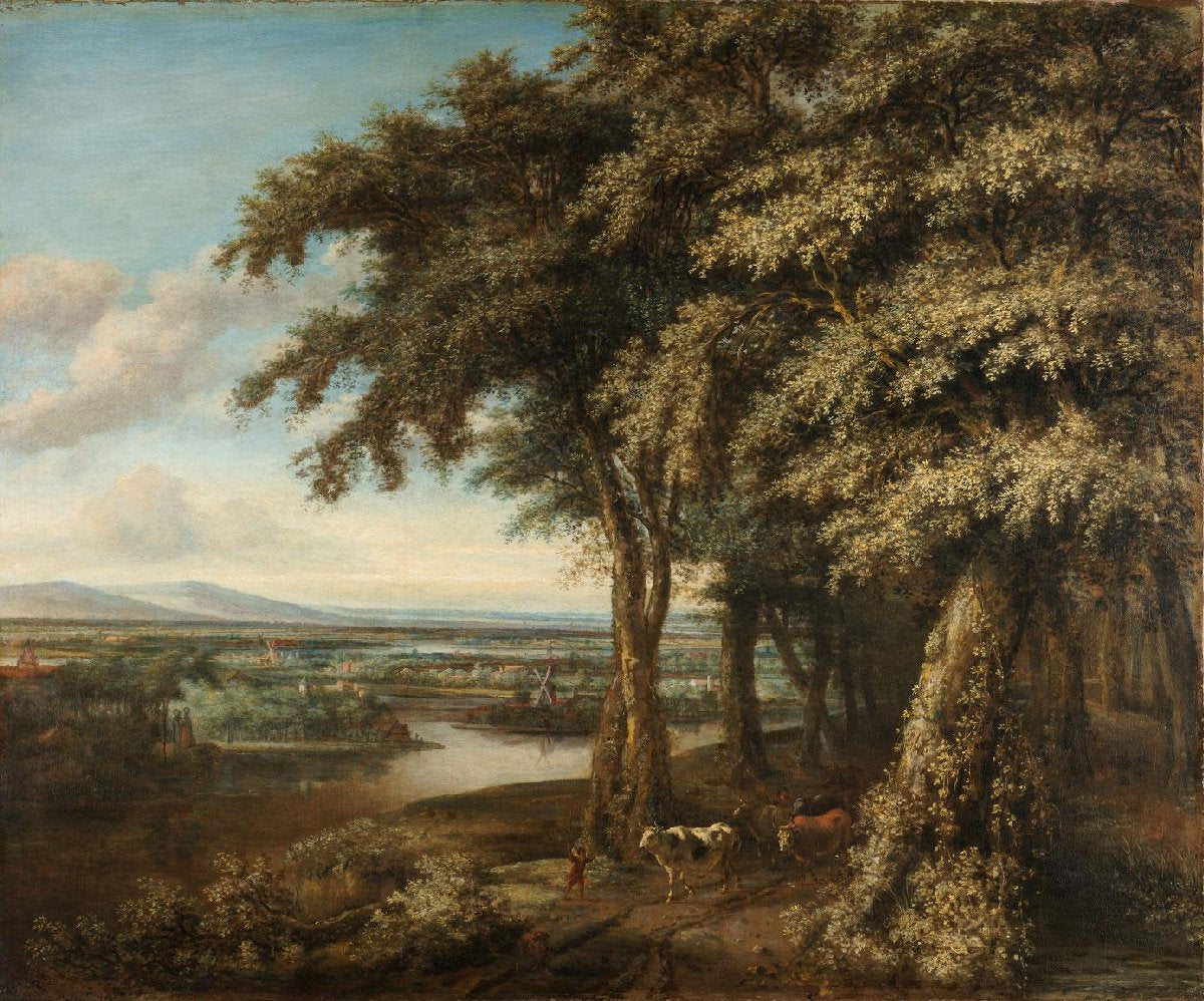 De ingang tot het bos