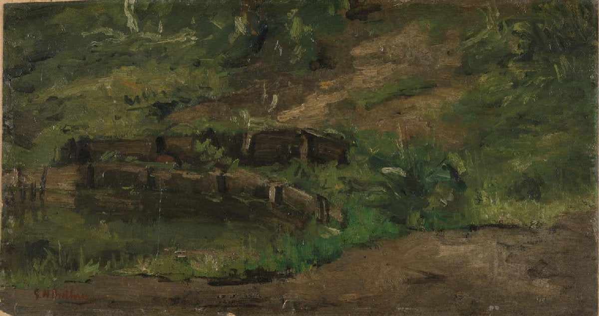 Meadow Landscape