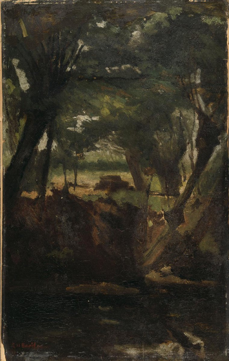 View in the Woods