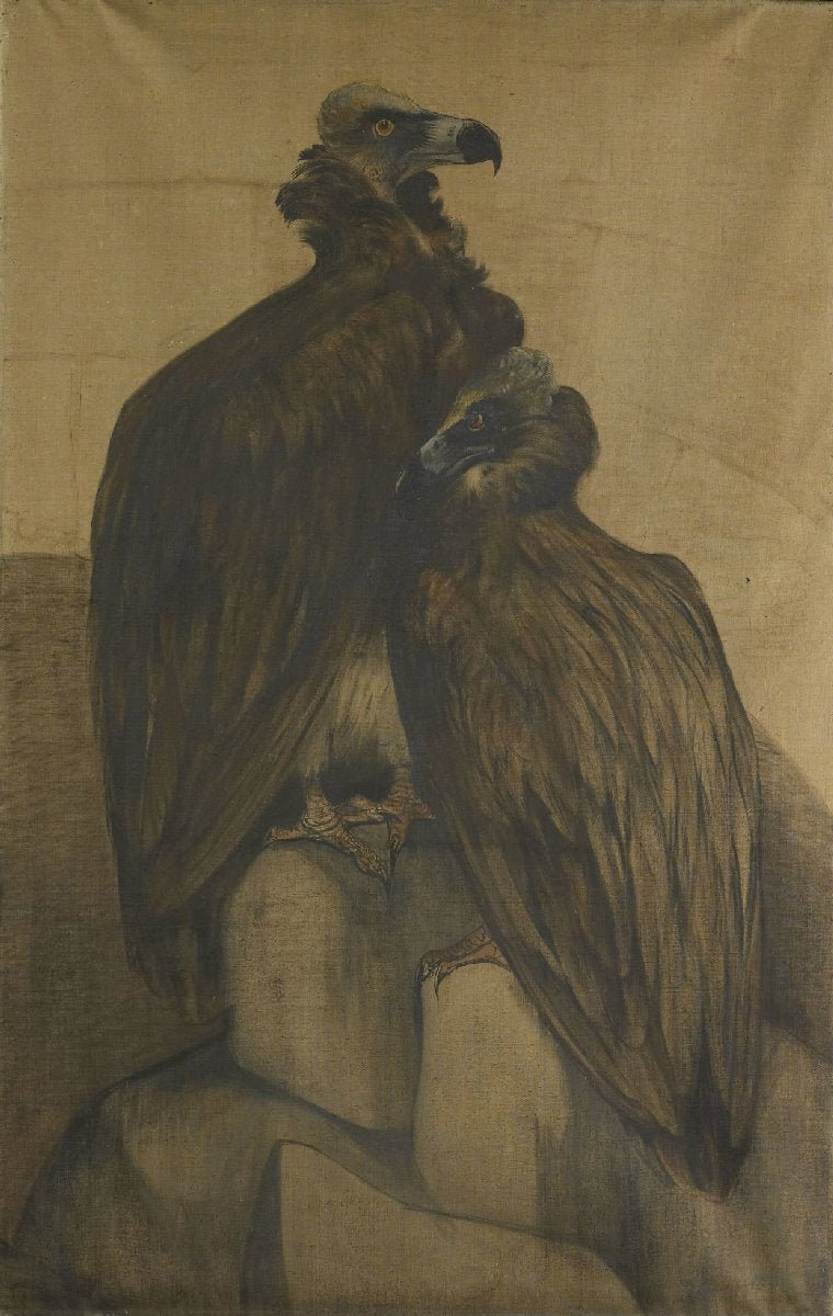 Two Arabian Vultures