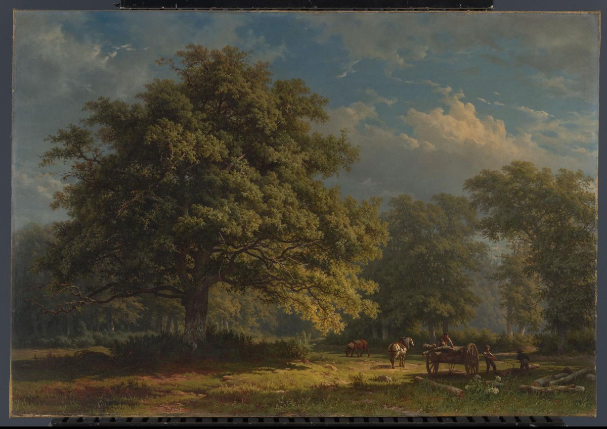 View in Bentheim Forest