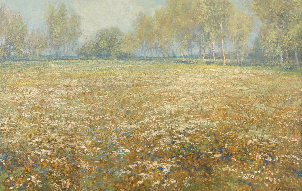 Meadow in Bloom